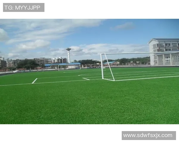 足球场上的金句与智慧 足球球星用俗语解析人生与竞技